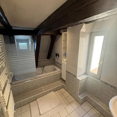 Duplex Le Leonor Strasbourg